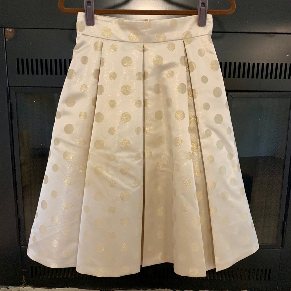 Polka dot Satin Skirt